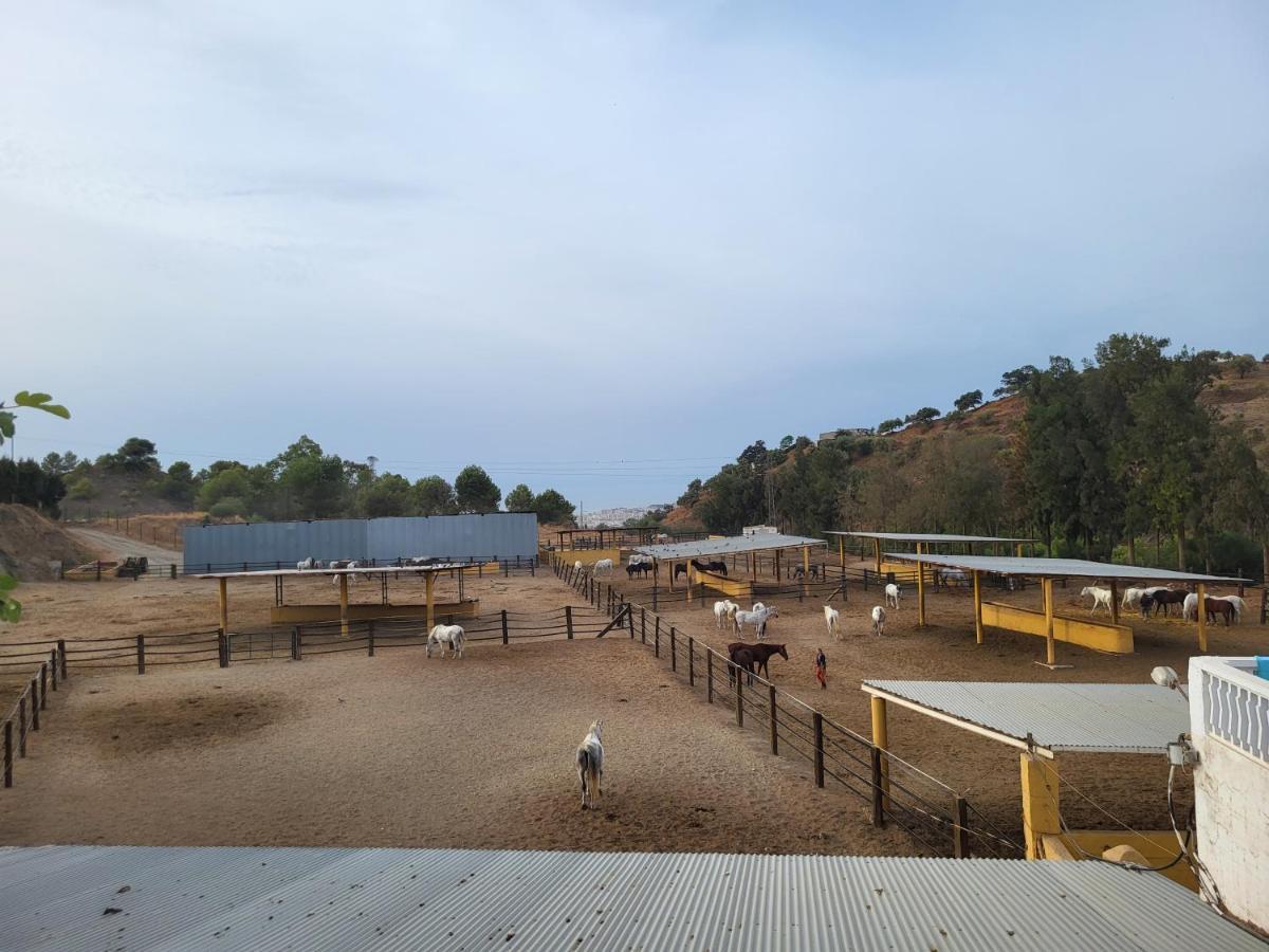 Finca Palmers Mijas Eksteriør bilde